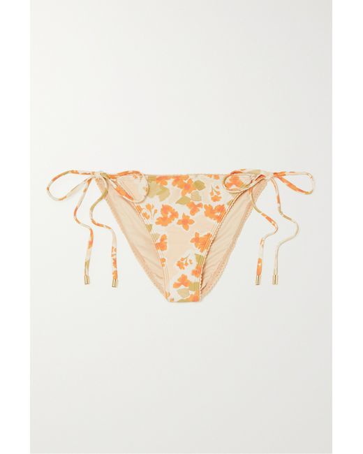 Peony Net Sustain Floral-print Stretch-econyl Bikini Briefs