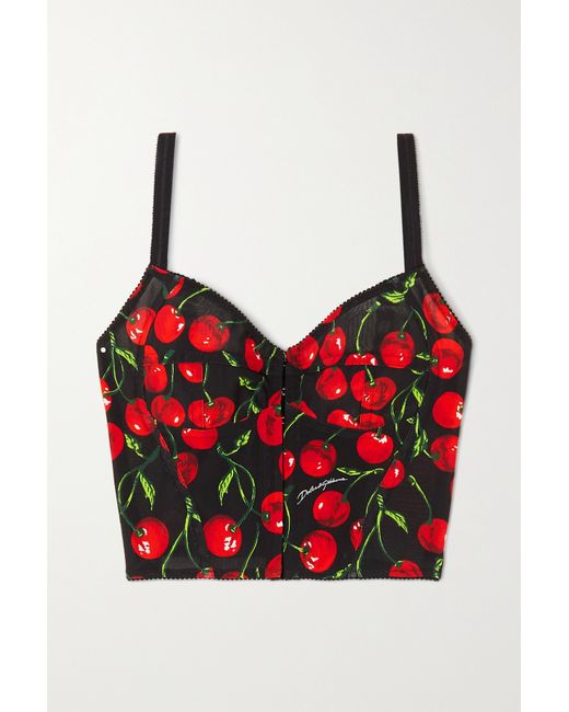 Dolce & Gabbana Cropped Printed Stretch-tulle Bustier Top