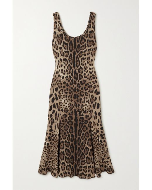 Dolce & Gabbana Leopard-print Chenille Midi Dress Leopard print