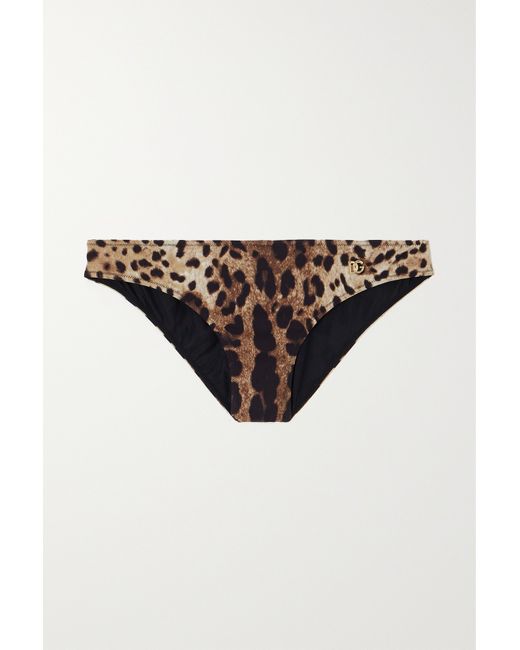 Dolce & Gabbana Leopard-print Bikini Briefs Leopard print