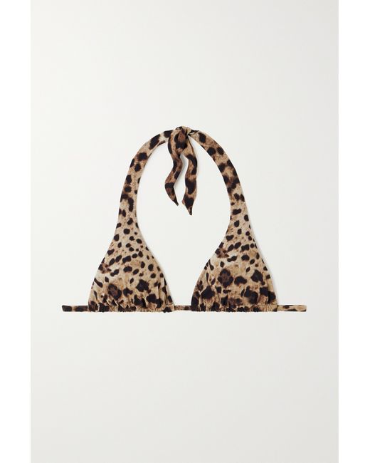 Dolce & Gabbana Leopard-print Halterneck Bikini Top Leopard print