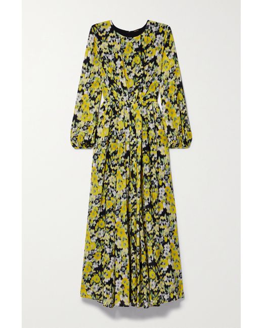 Adam Lippes Pleated Floral-print Silk Crepe De Chine Maxi Dress