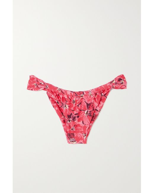 Faithful the Brand Net Sustain Andez Floral-print Bikini Briefs