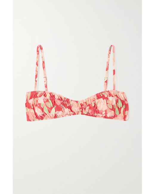 Peony Net Sustain Floral-print Stretch-econyl Bikini Top