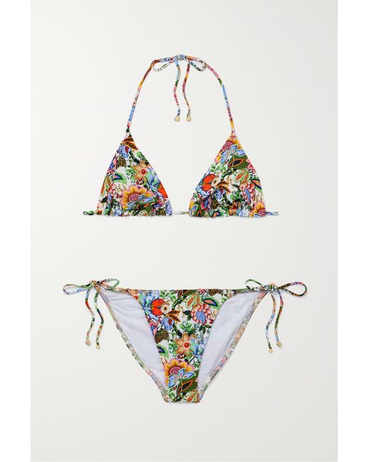 Etro Floral-print Bikini