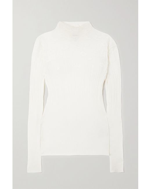Bottega Veneta Ribbed Pointelle-knit Cotton-blend Sweater