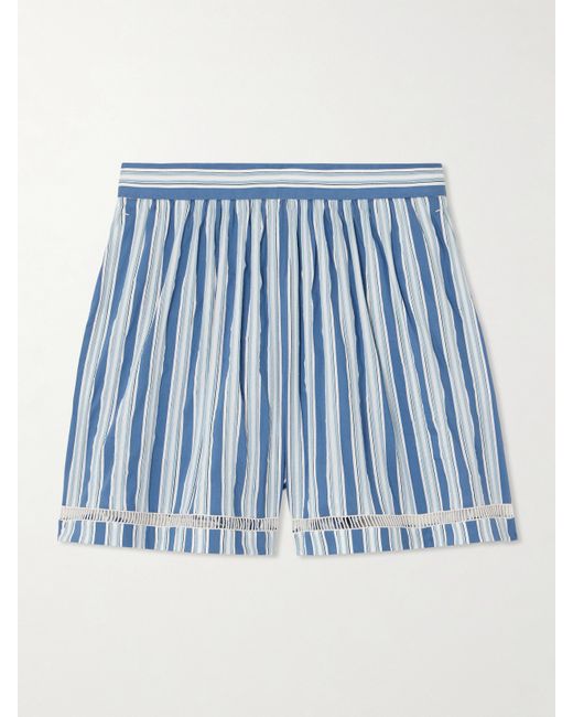 Chloé Embroidered Striped Cotton And Silk-blend Poplin Shorts