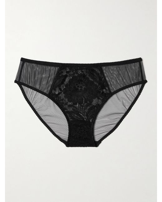 Dolce & Gabbana Tulle And Lace Briefs