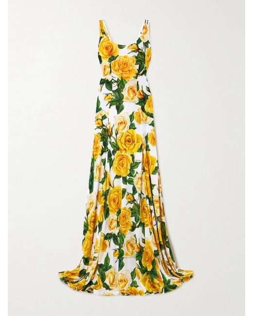Dolce & Gabbana Floral-print Woven Maxi Dress