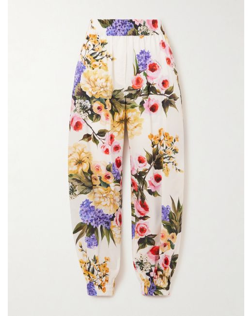 Dolce & Gabbana Pleated Floral-print Cotton-poplin Tapered Pants