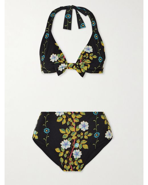 Etro Floral-print Halterneck Bikini