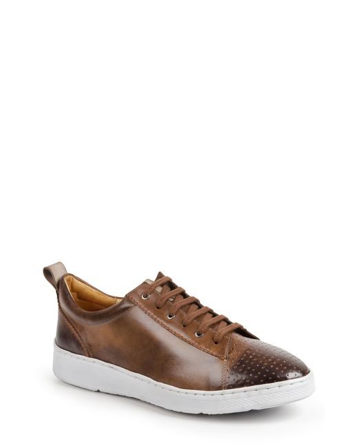 Sandro Moscoloni Myron Perforated Sneaker Brown
