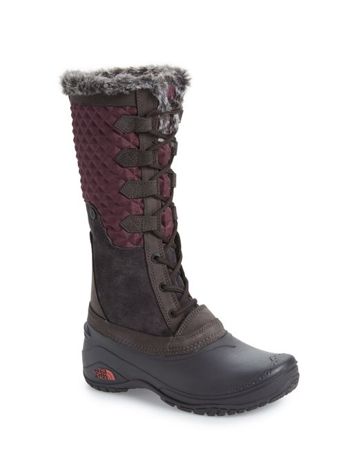 The North Face Shellista Iii Tall Waterproof Insulated Winter Boot