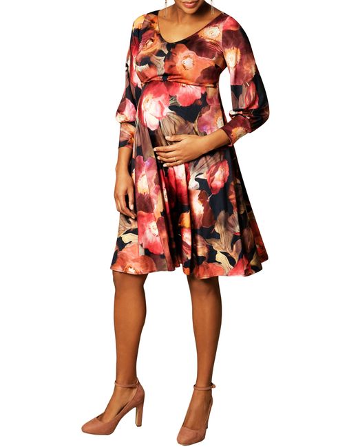 Tiffany Rose Pixie A-Line Maternity Dress