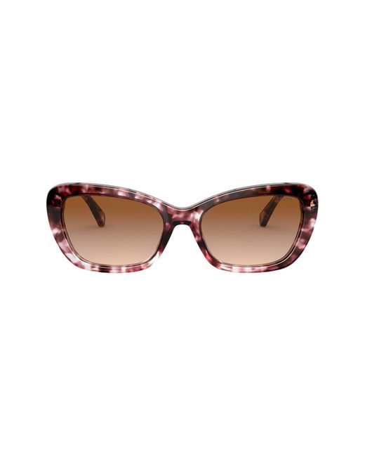 Ralph Lauren 55mm Gradient Cat Eye Sunglasses