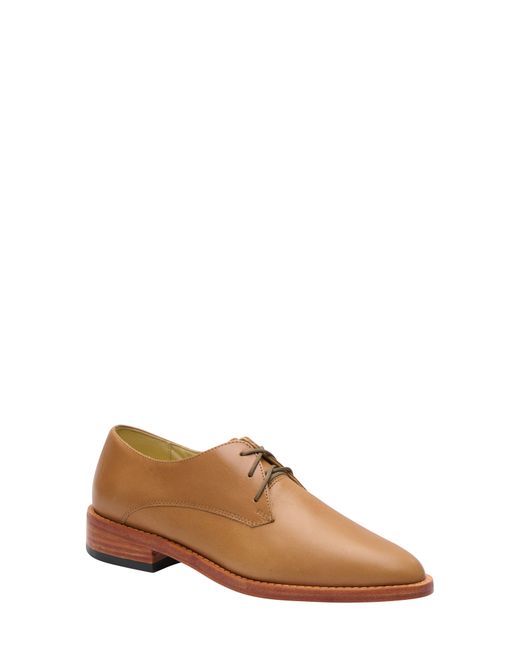 Nisolo James Water Resistant Derby