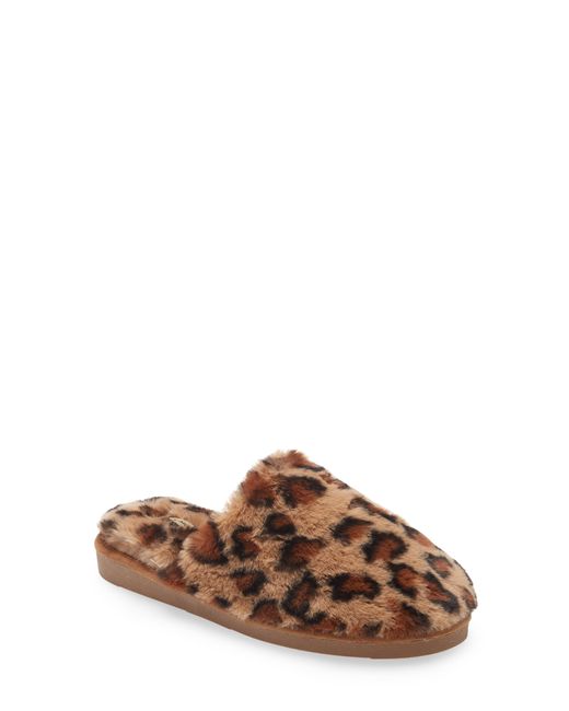 Pelle Moda Comfy Faux Shearling Slipper in at Nordstrom