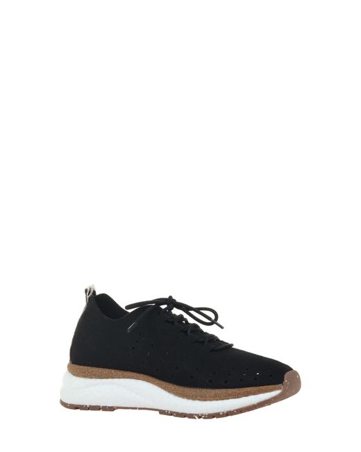 Otbt Alstead Perforated Sneaker in at Nordstrom