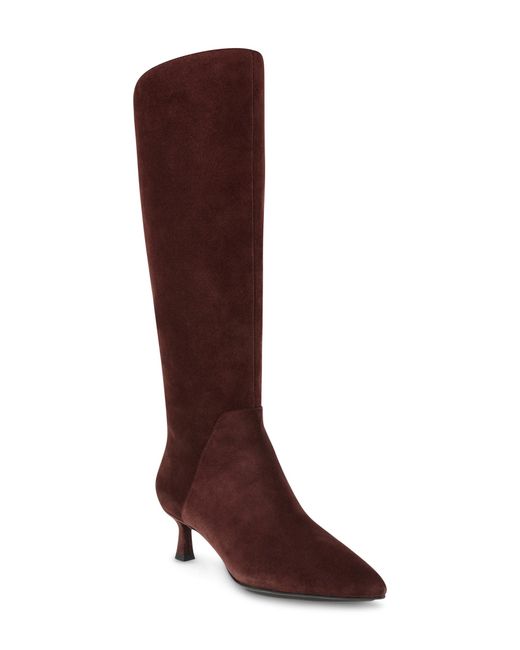 AK Anne Klein Isela Tall Boot in at Nordstrom