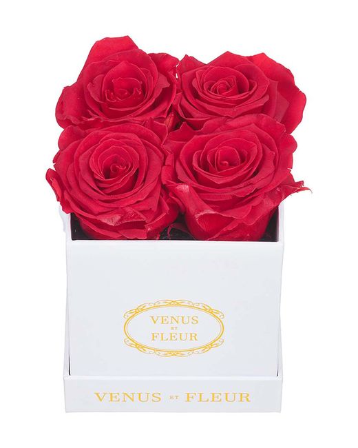 Venus Et Fleur Classic Le Petit Eternity Roses in at Nordstrom