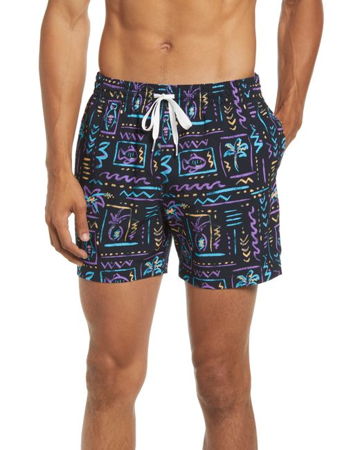 Chubbies The Nine Ts 5.5-Inch Swim Trunks in at Nordstrom