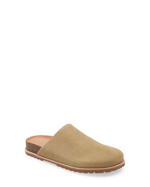 Madewell The Layne Clog Mule in at