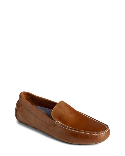 Sperry Davenport Driving Shoe in at