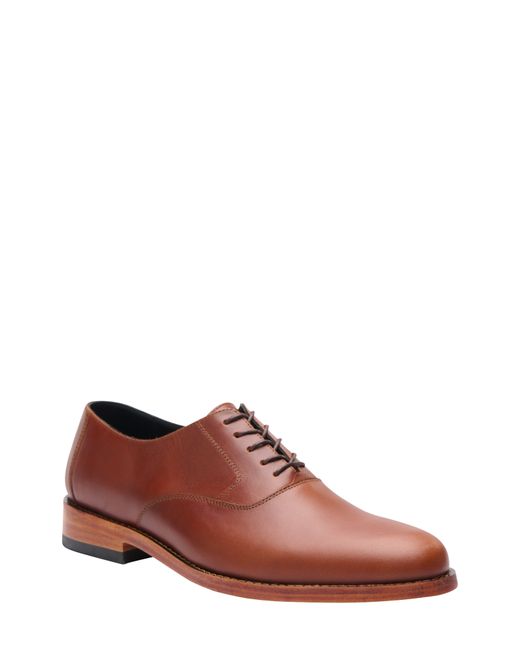 Nisolo Everyday Oxford in Brandy at 11.5