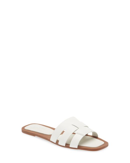 Seychelles Practically Slide Sandal in Leather at 10