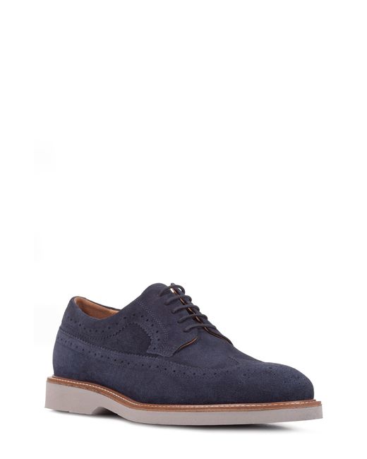 Geox Gubbio Oxford in Navy at 8Us