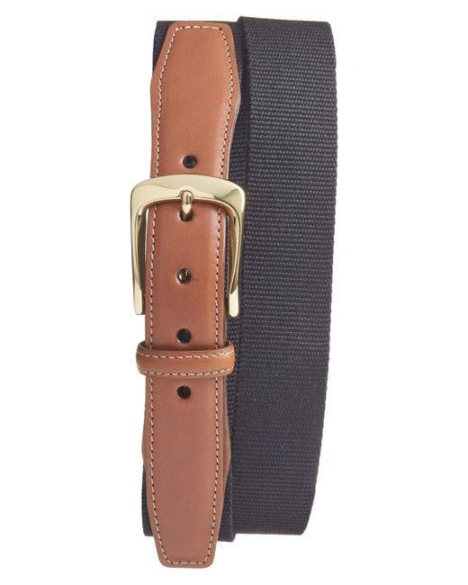 Torino Belts European Surcingle Belt Size