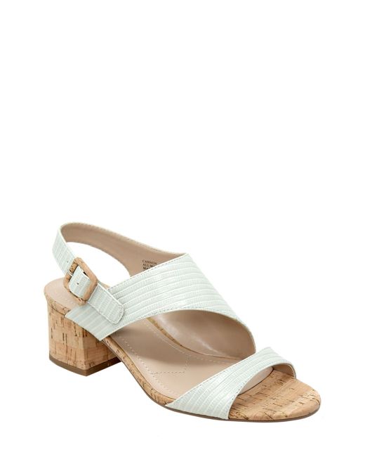 Charles by Charles David Cannon Sandal in at