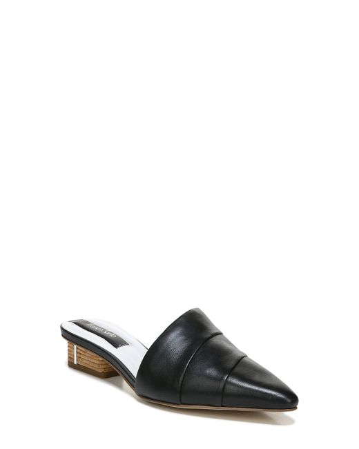 Franco Sarto Oasis Pointed Toe Mule in at