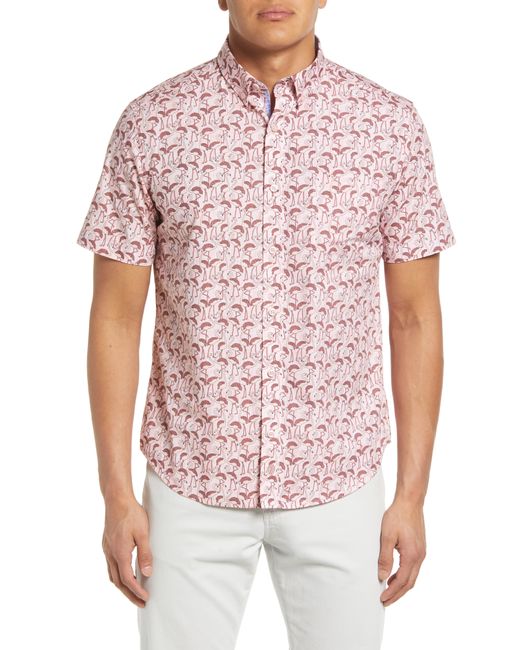 Johnston & Murphy Flamingos Short Sleeve Cotton Button-Down Shirt in at