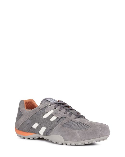 Geox Snake 94 Sneaker in Light Grey/Anthracite at