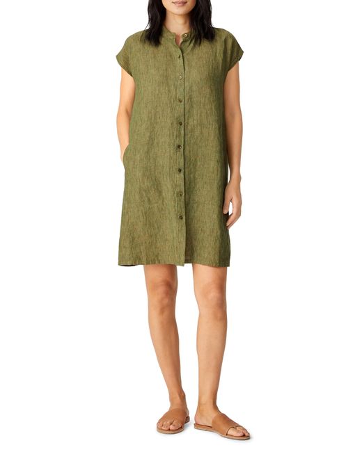 Eileen Fisher Mandarin Collar Cap Sleeve Organic Linen Shirtdress in Coriander at Medium