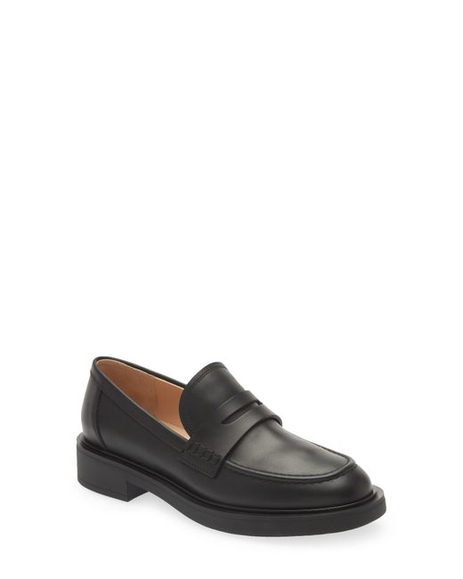 Gianvito Rossi Harris Penny Loafer in at