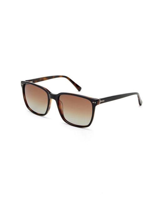 Ted Baker London 57mm Polarized Square Sunglasses in at
