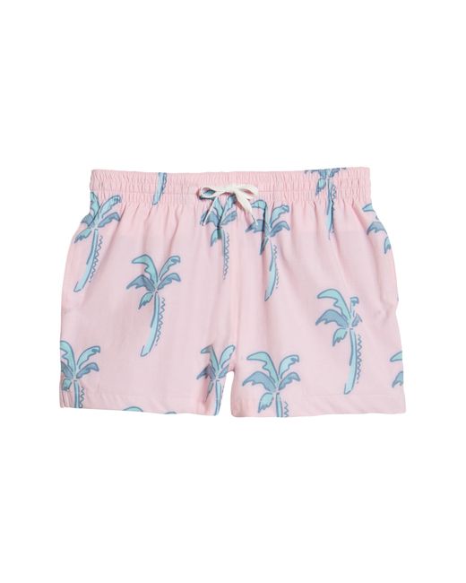 Chubbies Palm Trees Swim Trunks in at