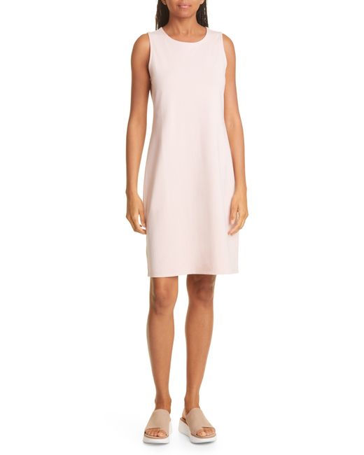 Eileen Fisher Organic Cotton Shift Dress in at