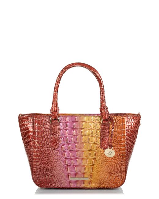 Brahmin Small Ashlee Croc Embossed Leather Tote in at