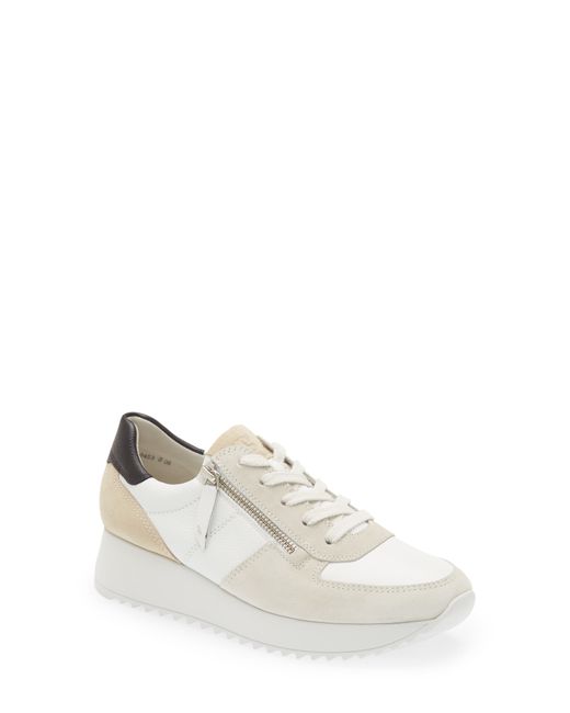 Paul Green Lively Sneaker in at