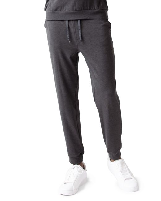 Cozy Earth Ultrasoft Jogger Sweatpants in at