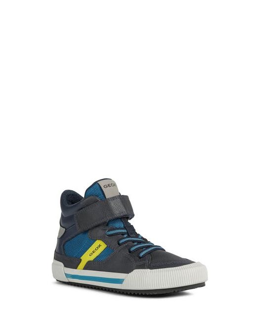 Geox Alonisso High Top Sneaker in Navy/Lime at