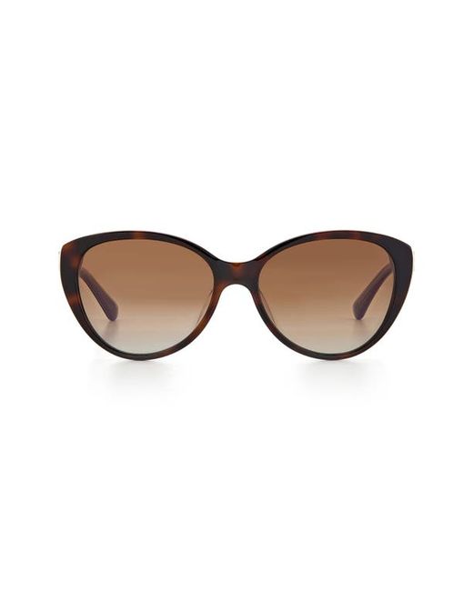 Kate Spade New York visalia 55mm gradient cat eye sunglasses in Dark Havana Gradient at