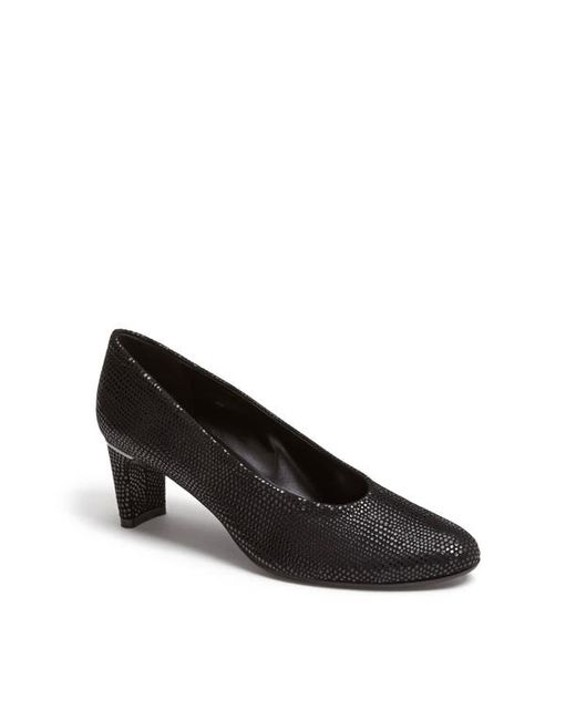 Vaneli Dayle Pump in at