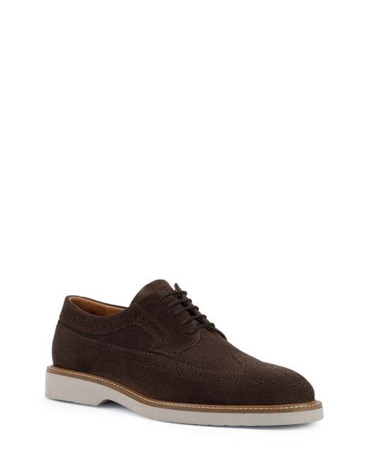 Geox Gubbio Oxford in at