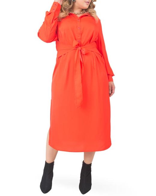 Standards & Practices Tie Waist Long Sleeve Midi Dress in at