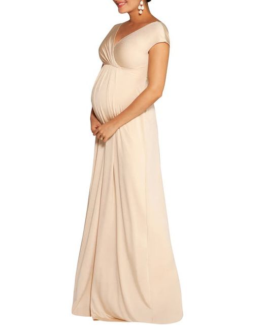 Tiffany Rose Francesca Maternity/Nursing Maxi Dress in at