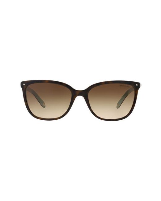 Tiffany & co. . 55mm Mirrored Square Sunglasses in Havana/Brown Gradient at